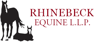 Rhinebeck Equine