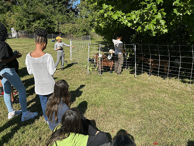 Farm to School students visit goats at Glinodo