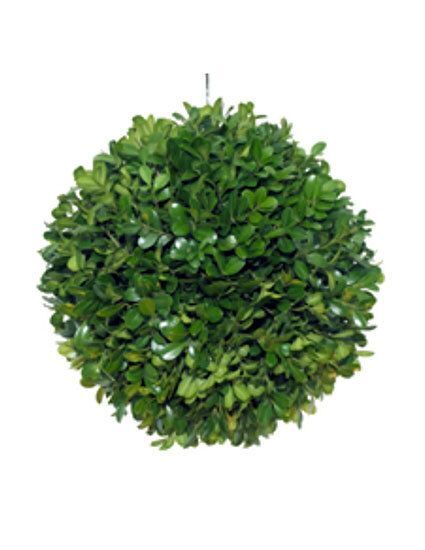 8” Boxwood Kissing Ball