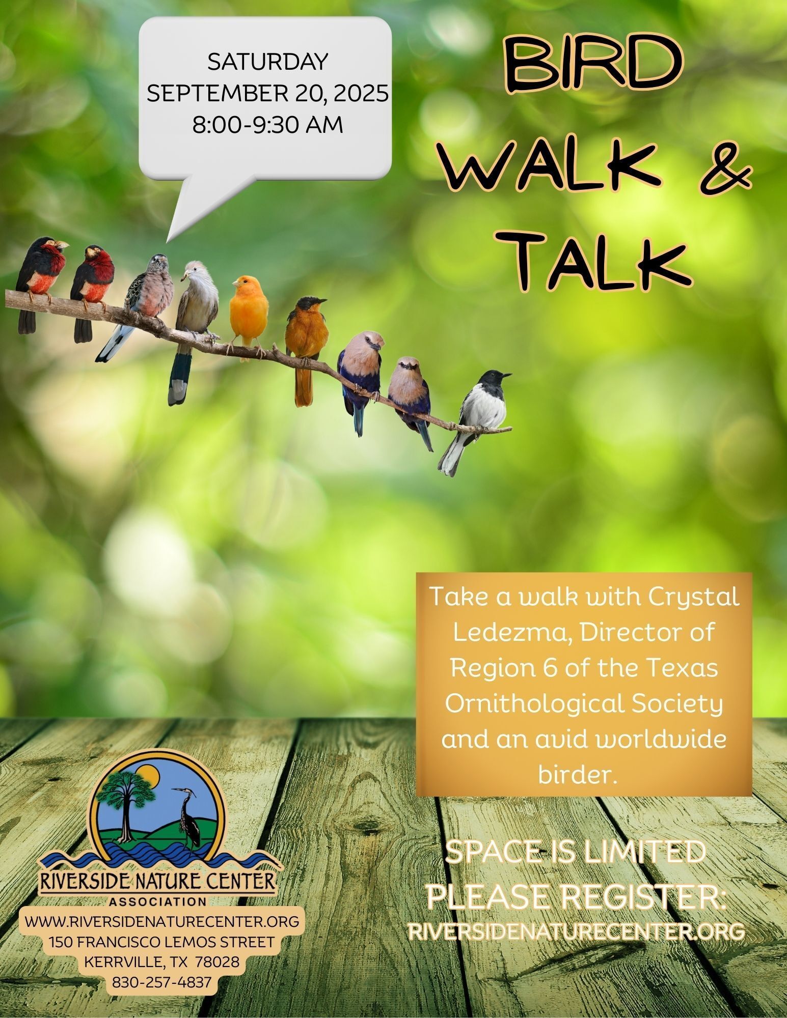 Bird Watching near me, Riverside Nature Center, Texas Master Naturalist, Kerrville, Nature lover, education about birds