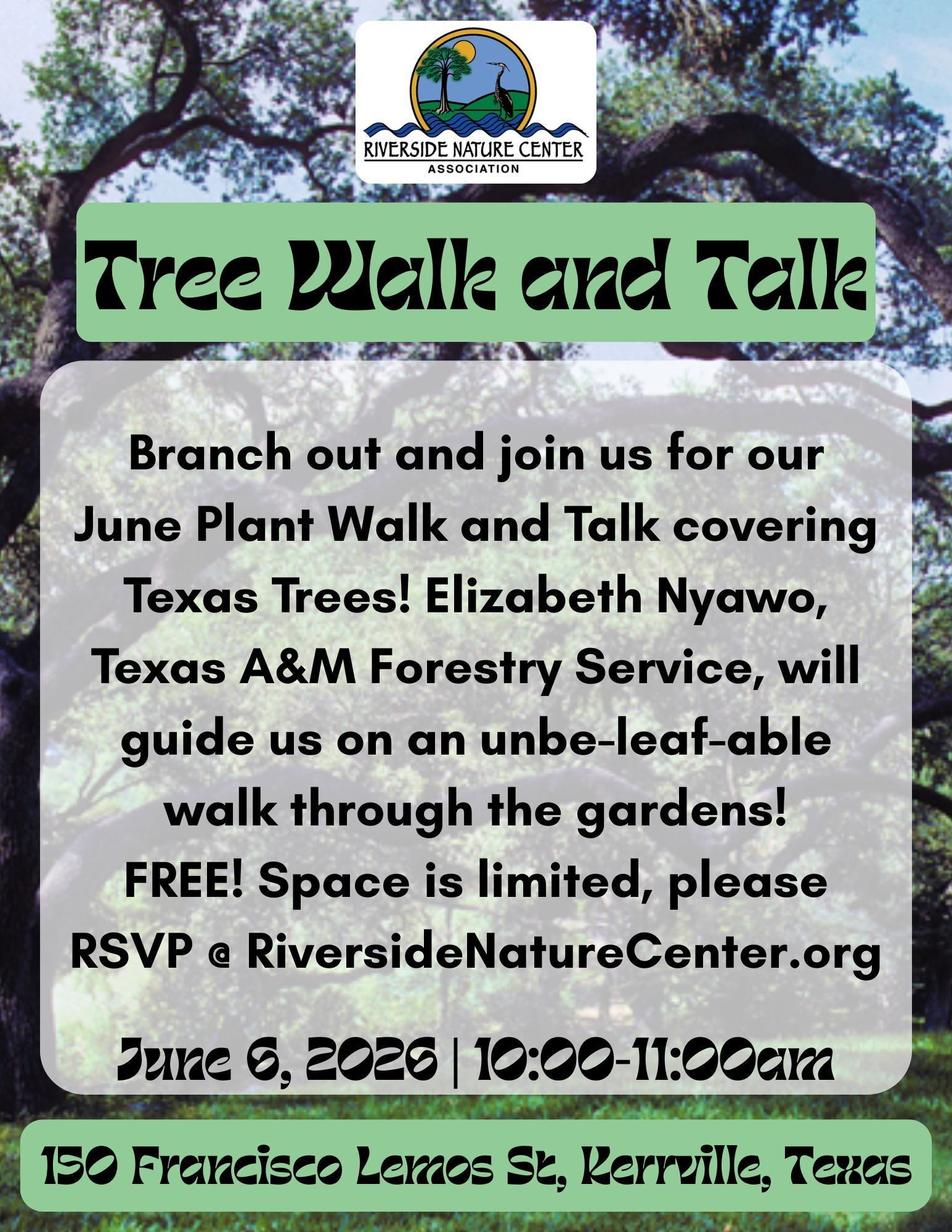 Plants near me, Riverside Nature Center, Kerrville, Nature lover, Elizabeth Nyawo, Woodland Ecologist, texas native trees, RNC gardens, education about plants, environmental science educator, wildflowers, Plant Walk