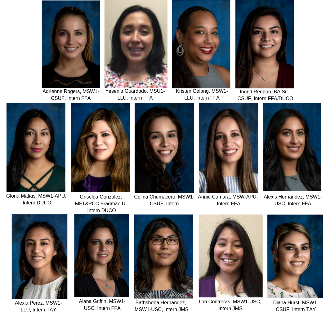 Congratulations to Our Interns - The Future of Their Profession