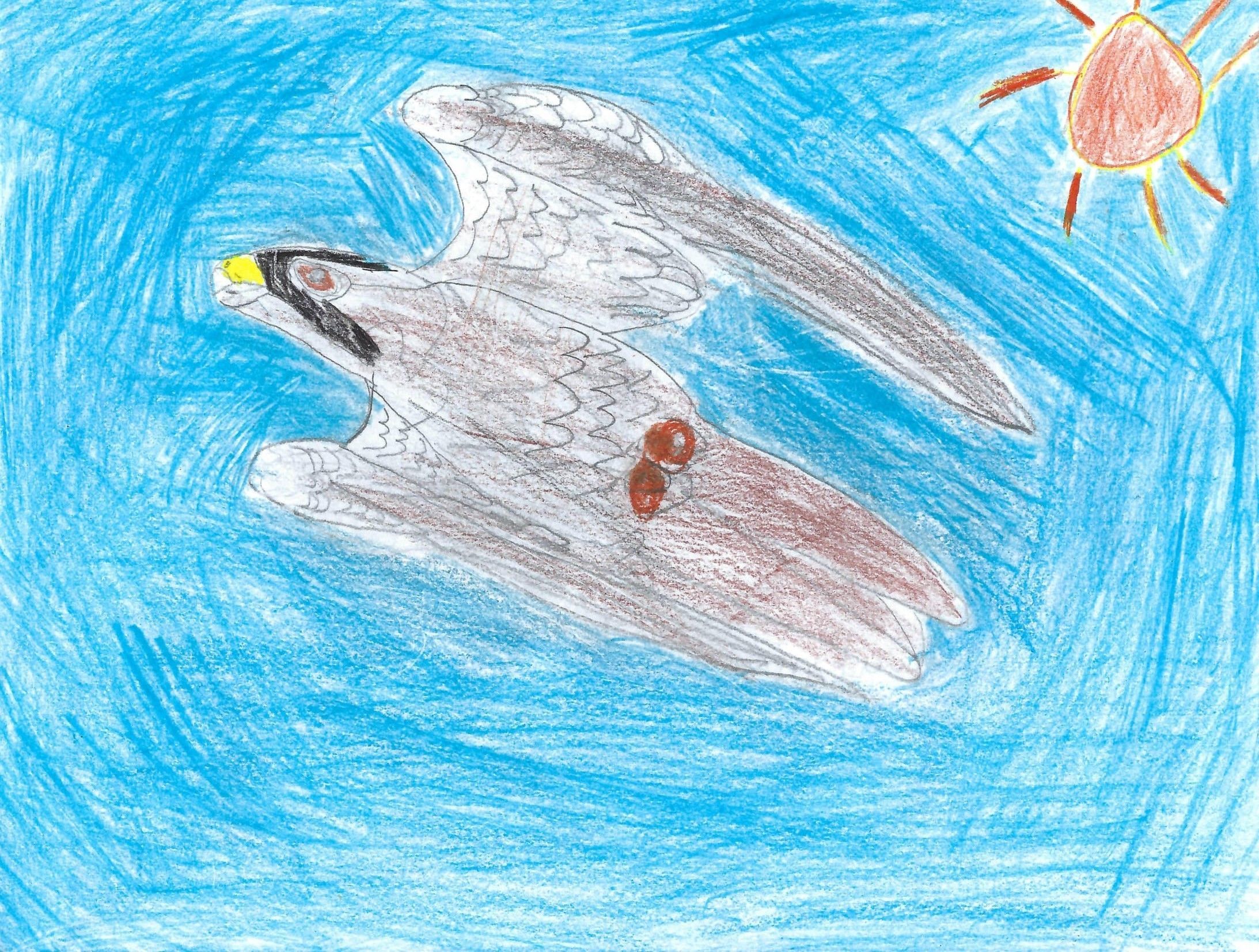 Adriel, 5th Grade