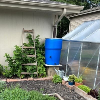 Install a Rain Barrel