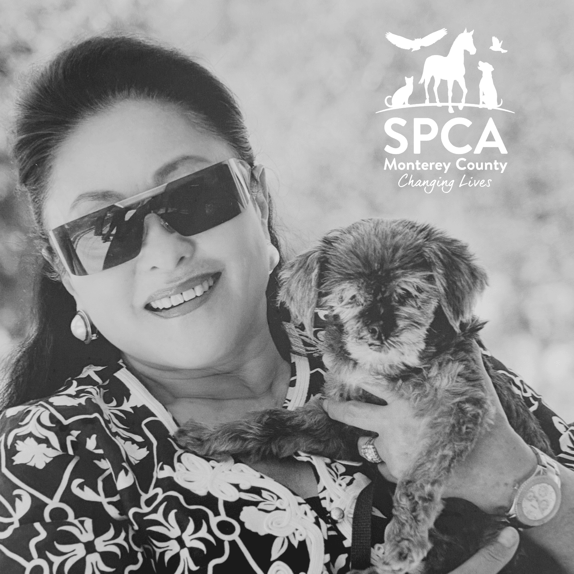 SPCA Stories:  Sherrie McCullough, SPCA MC Board of Directors Chair