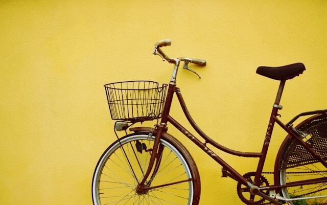 Celebrating World Bicycle Day