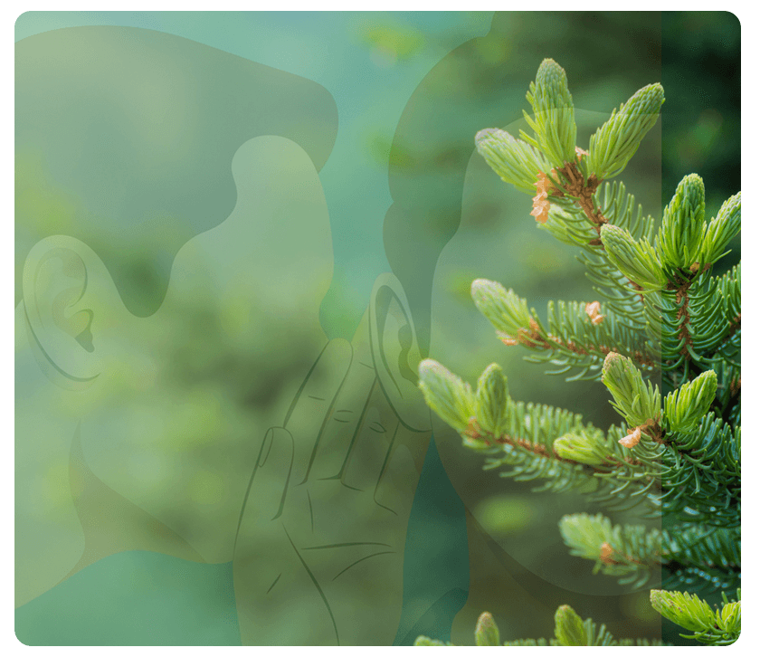 The Evergreen Secrets Behind High-Performing Direct Mail