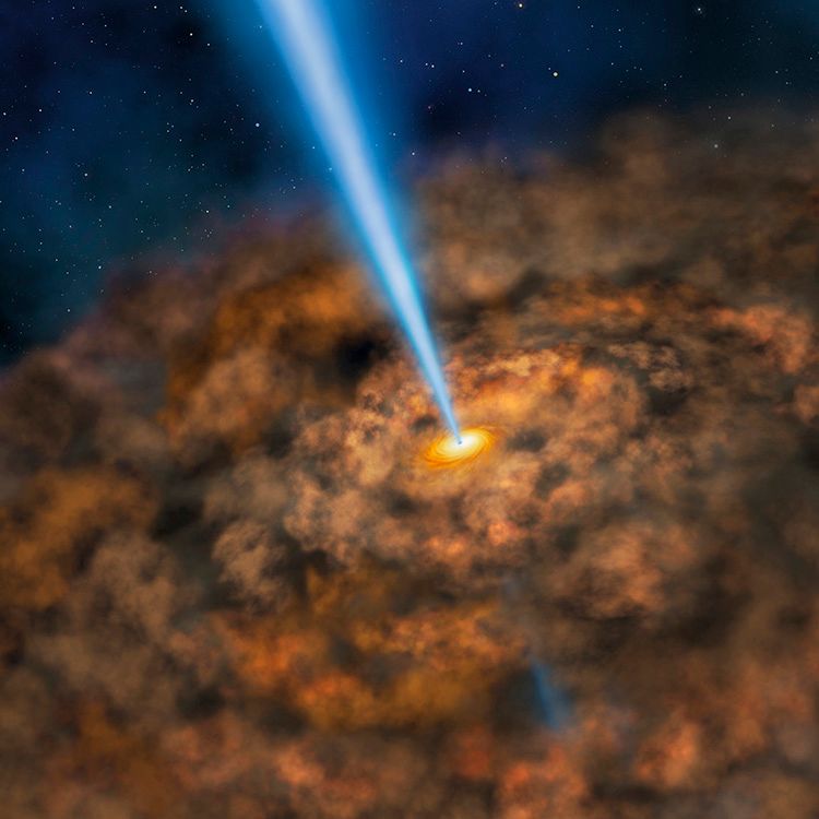 Are Supermassive Black Holes Galactic Regulators?