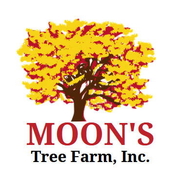 Moons' Tree Farm