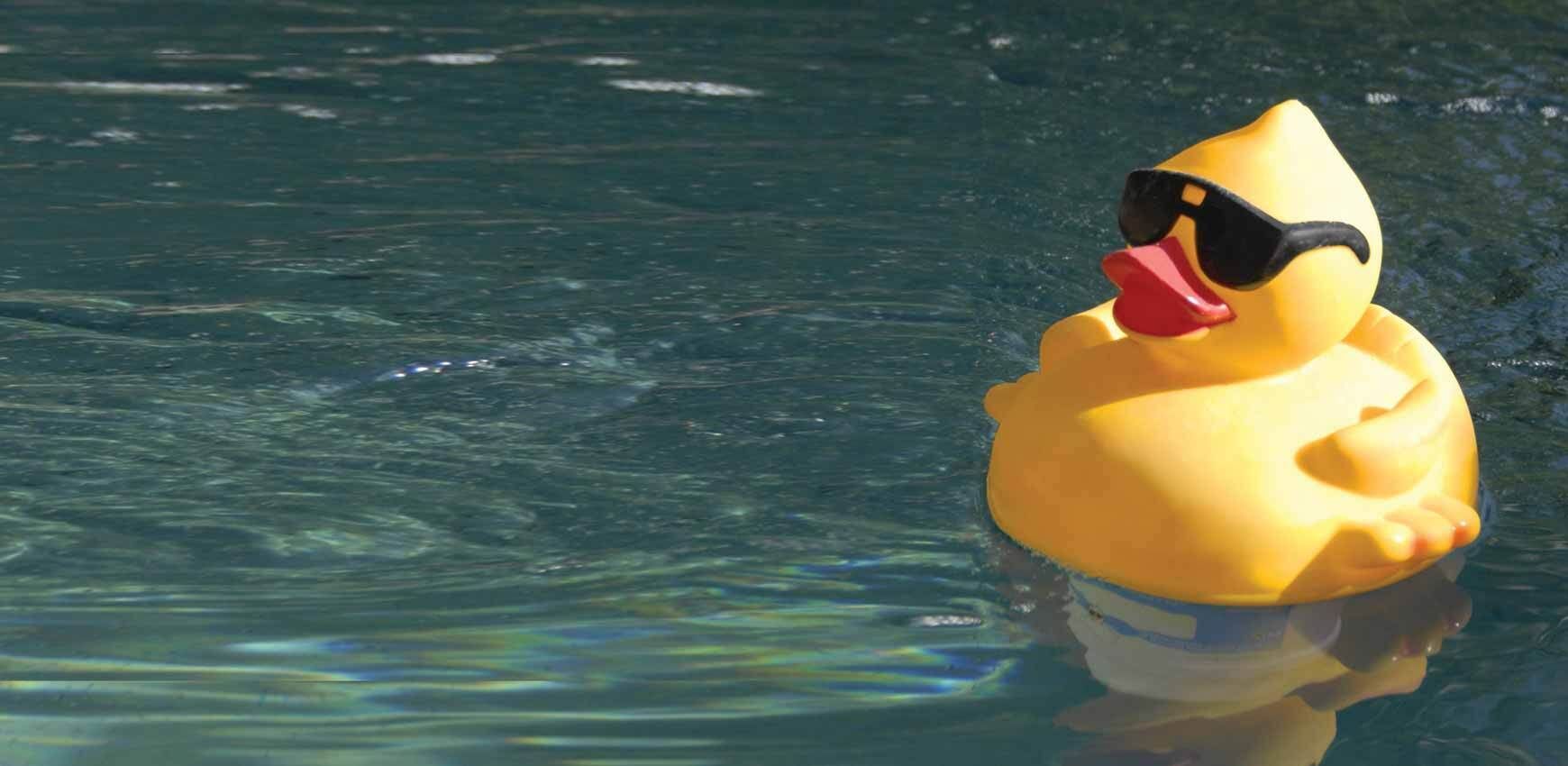 rubber duck floating in water
