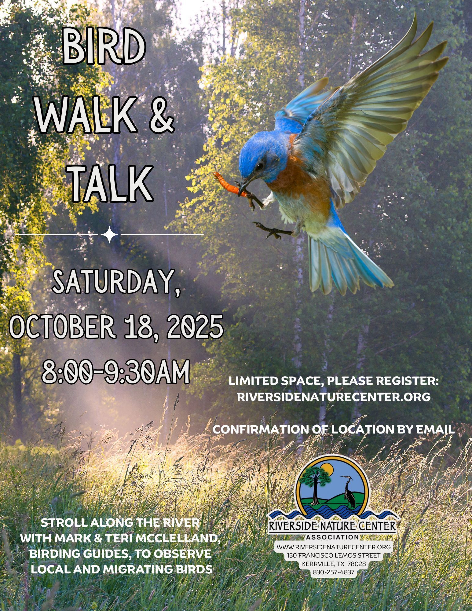 Bird Watching near me, Riverside Nature Center, Texas Master Naturalist, Kerrville, Nature lover, education about birds