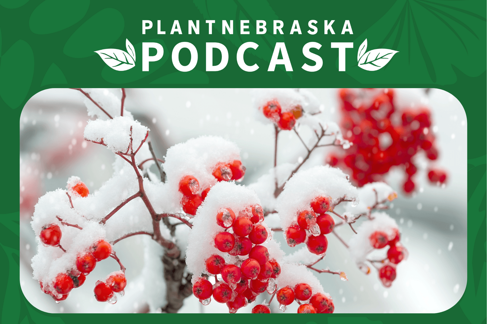 102: Planting for Snow