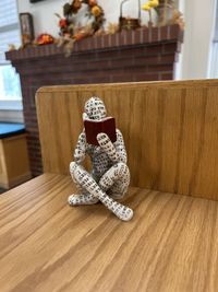 Shelf Sitter Reading A Book (4)