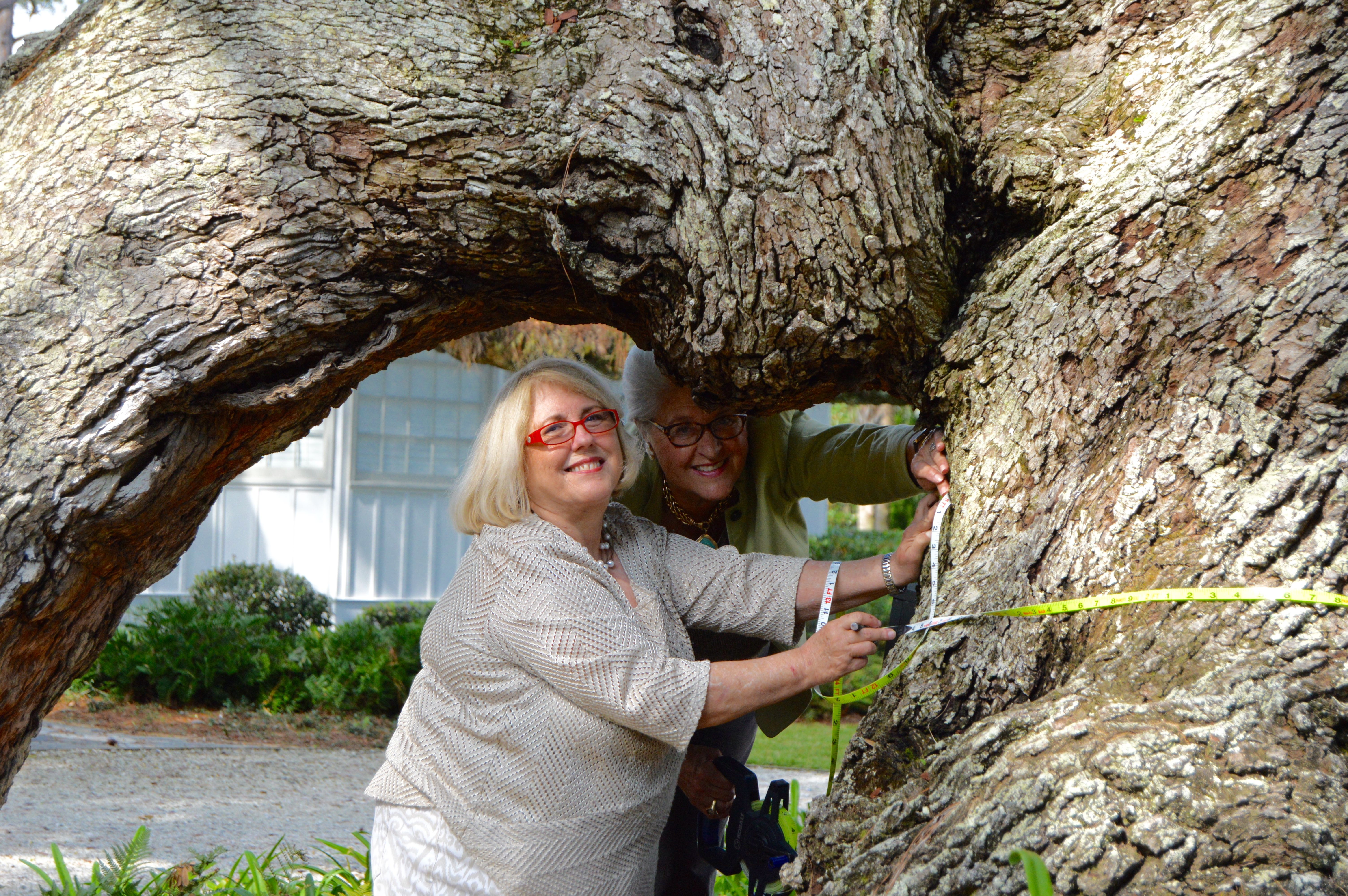 Golden Isles Fund for Trees