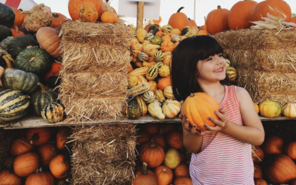 Pumpkin Patch Fall Fiesta