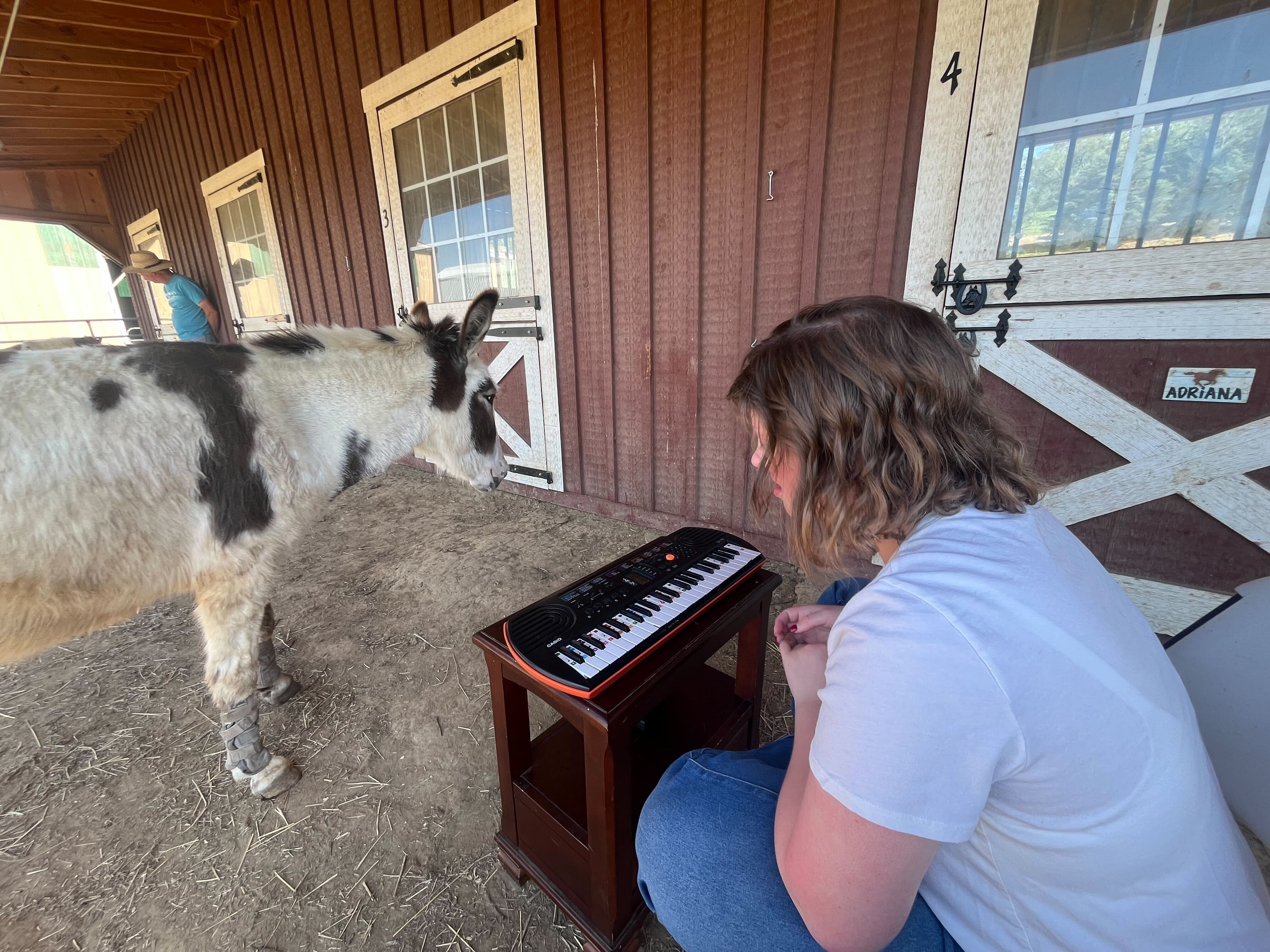 Visit the Ranch