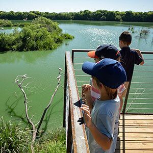 Kids on the canopy walkway