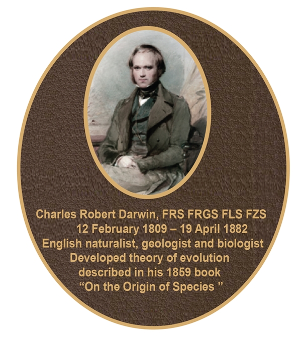 MB370 - Brass-Plated Plaque with Giclee Photo of Charles Darwin, Sandsblasted Painted Bronze Background, 2.5-D