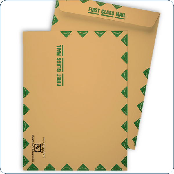 Custom Large Mailing Envelopes Printing