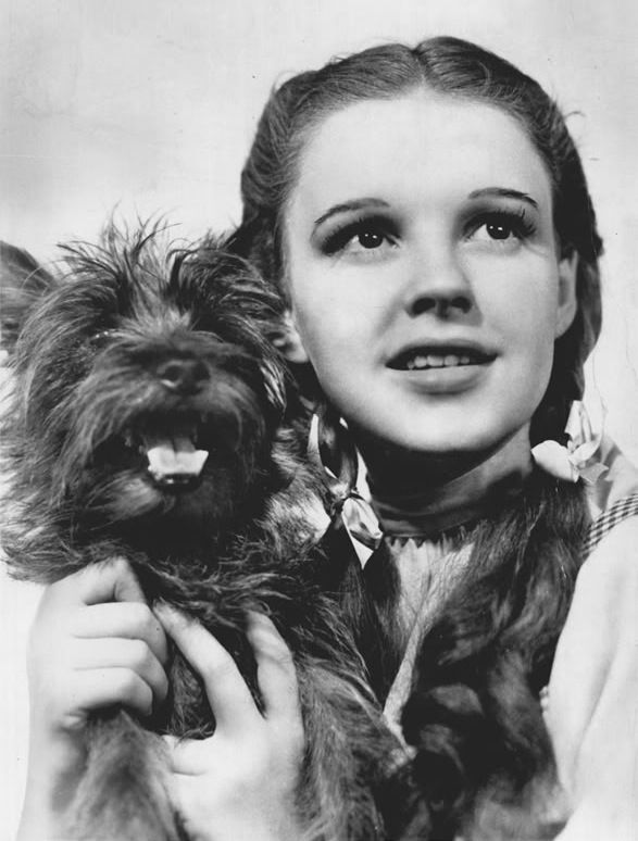 Dorothy and Toto from the Wizard of Oz