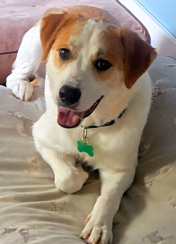 Charlie