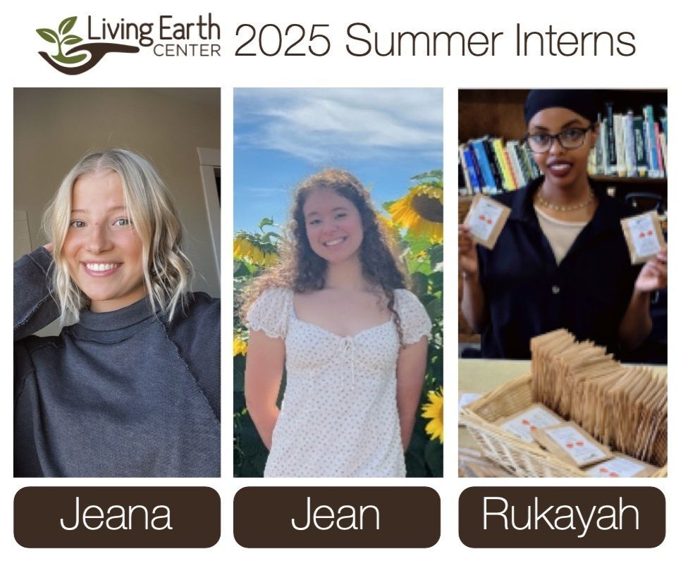 Meet LEC's 2025 Summer Interns