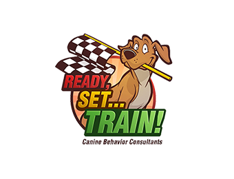 Ready Set Train!