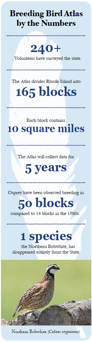 Breeding Bird Atlas by the Numbers