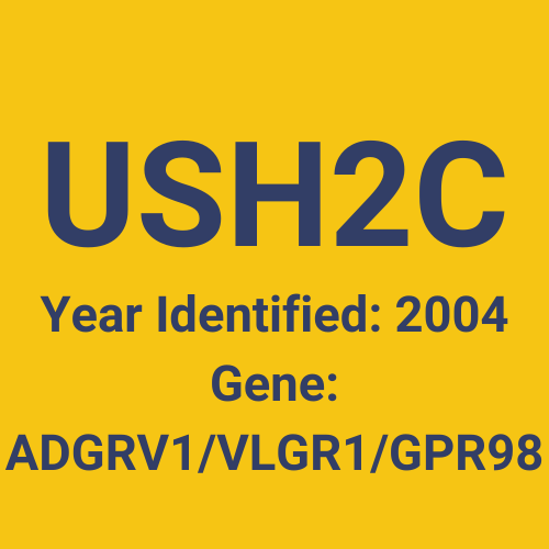 USH2C (Year Identified: 2004 | Gene: ADGRV1/VLGR1/GPR98)
