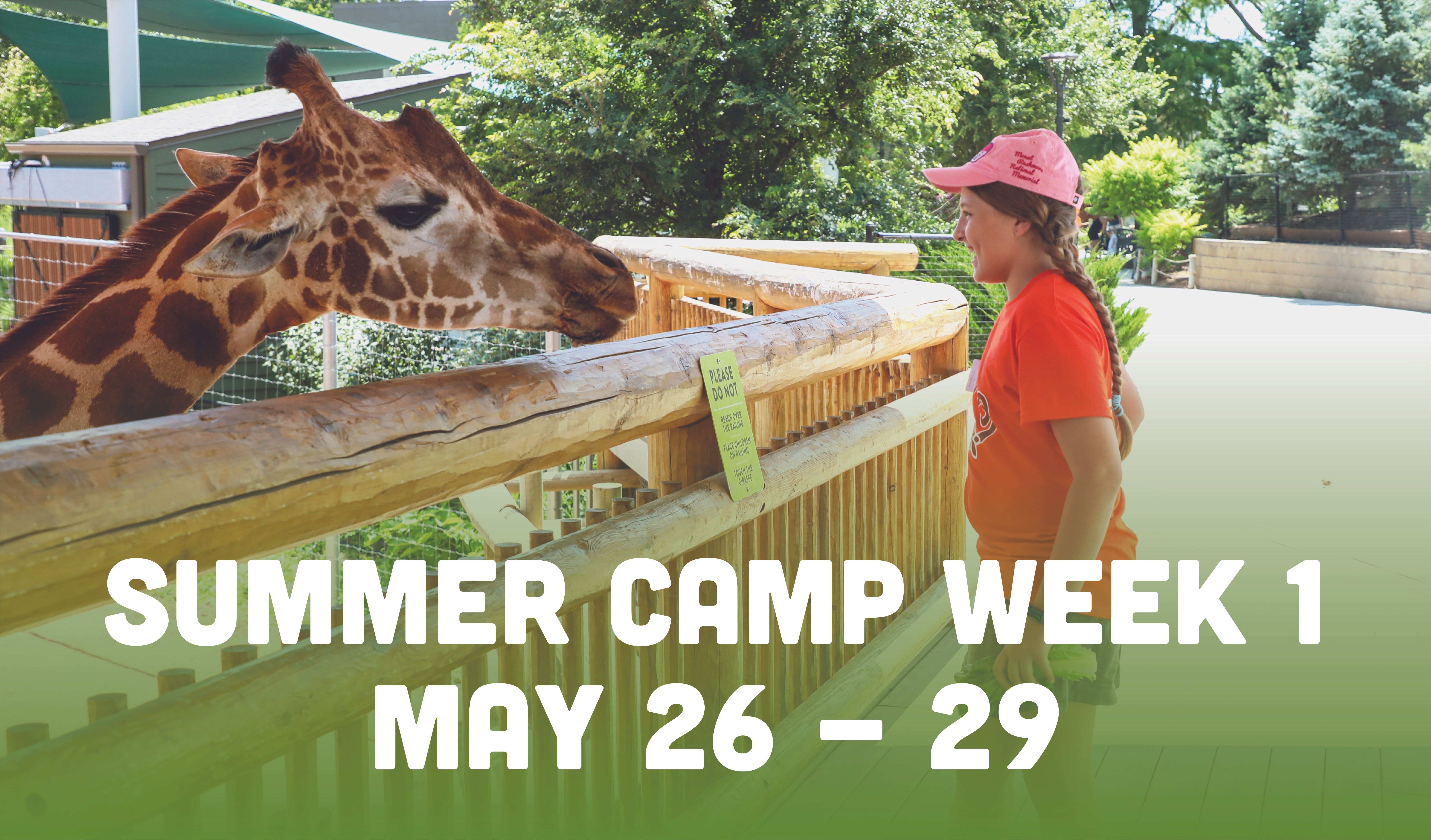 Register for Summer Camp Week 1: May 26-29