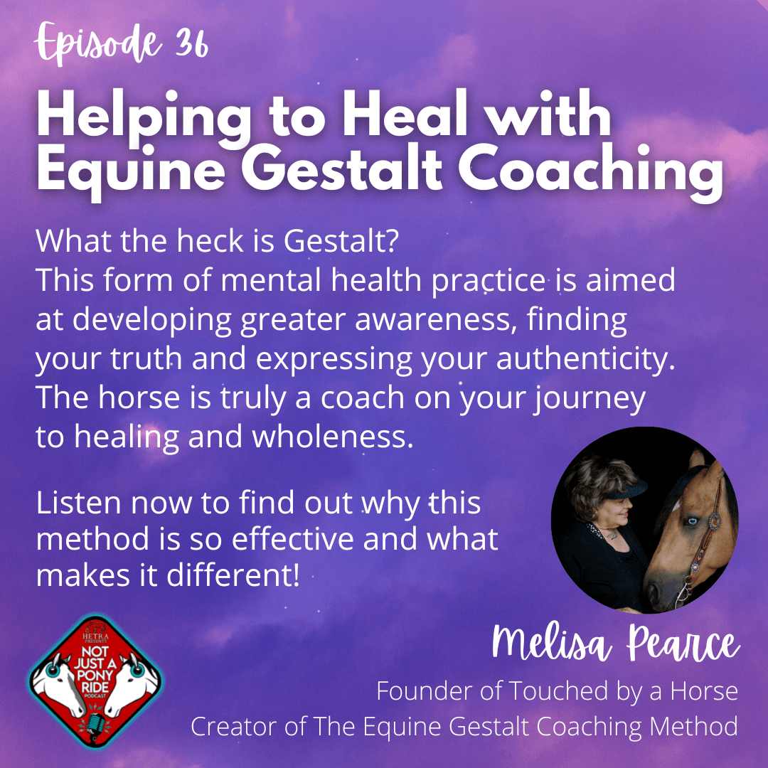 Episode #36 -Helping to Heal with Equine Gestalt Coaching: Melisa Pierce of Touched by a Horse