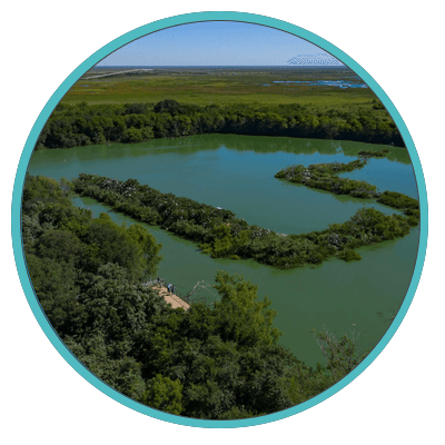History of  High Island