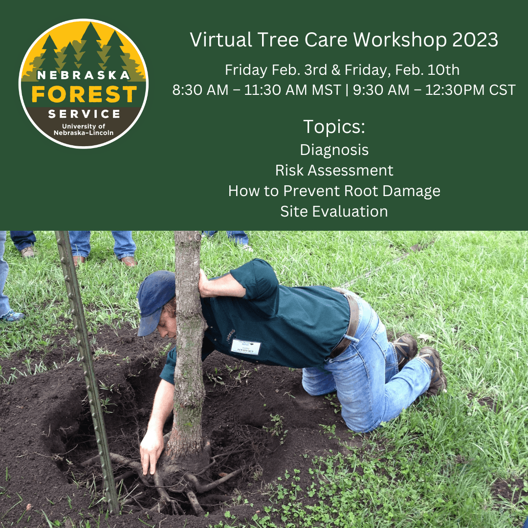 Nebraska Forest Service to present the 2023 Virtual Tree Care Workshop Feb. 3 and 10