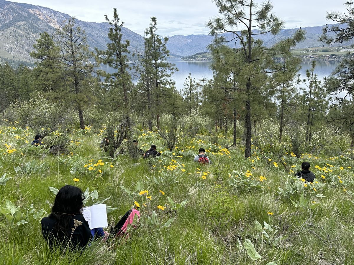 A group of students sitting on a hillside filled with Arrowleaf Balsamroot as they document their discoveries in their nature journals.