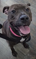 Chloe