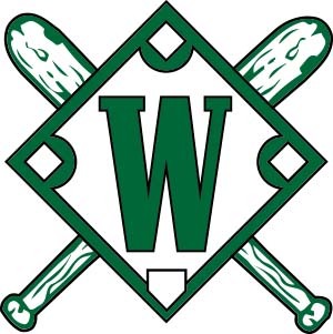 Webster Little League 