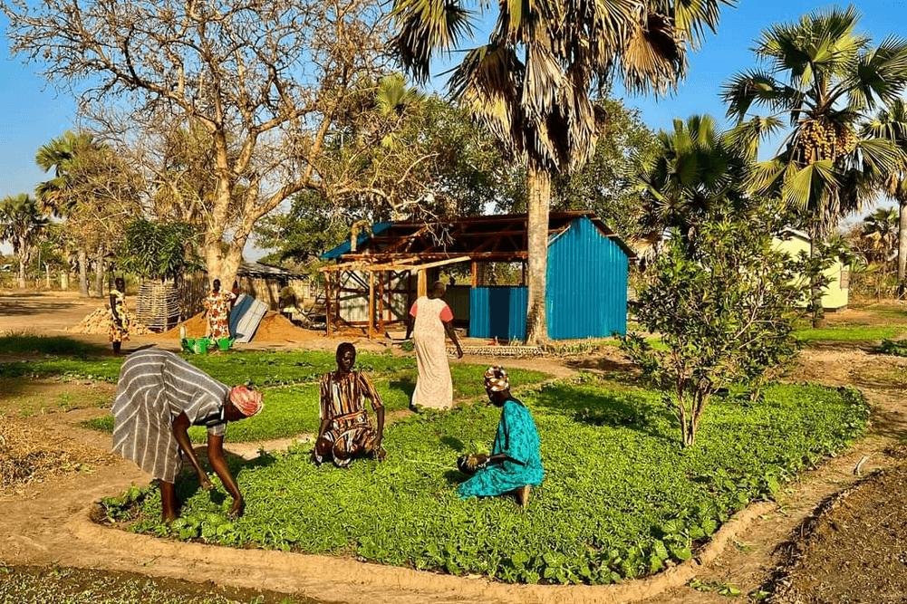 School Gardens by kitchen