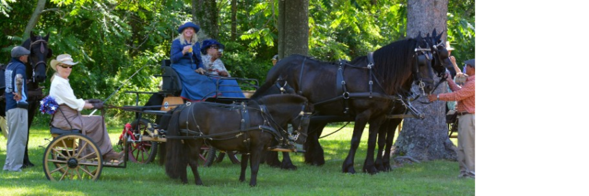 Morven Park Carriage Show, Arena Driving Trial & Pleasure Drive