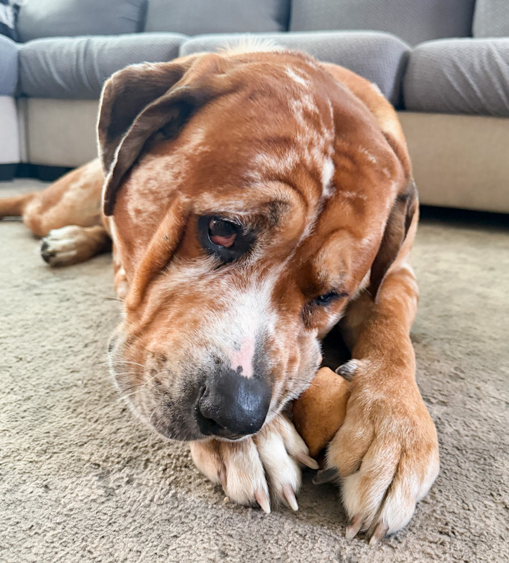 ZZ - Classified Ad - Charlie
