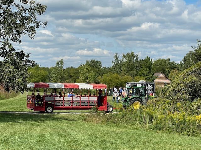 Visit the Gwynne Conservation Area