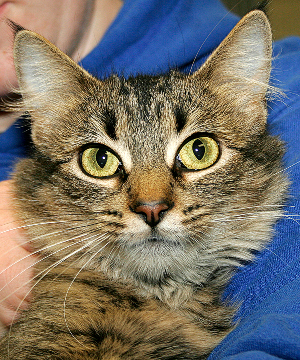 Meet Gorgonzola!