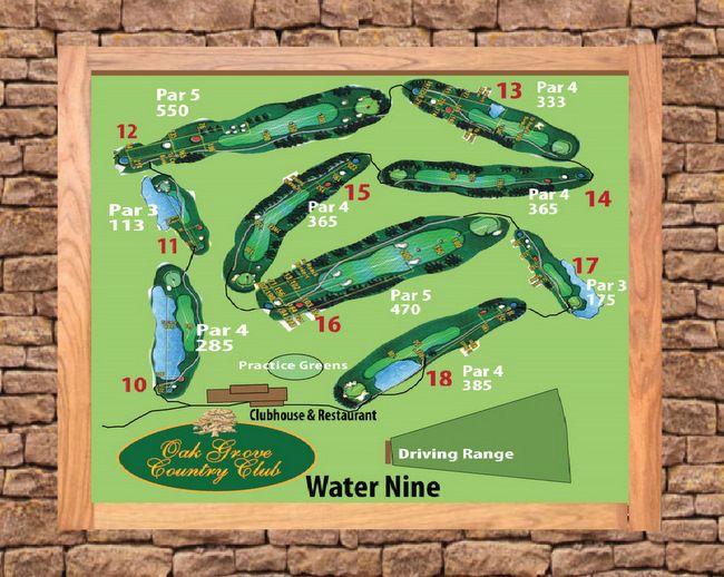 E14225 - Carved Golf Course 3D Map Wall Mounted