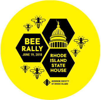 Bee Rally 2018