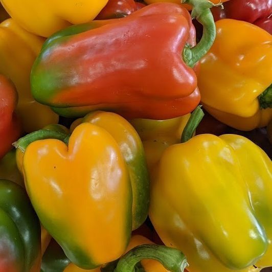 Bell Peppers