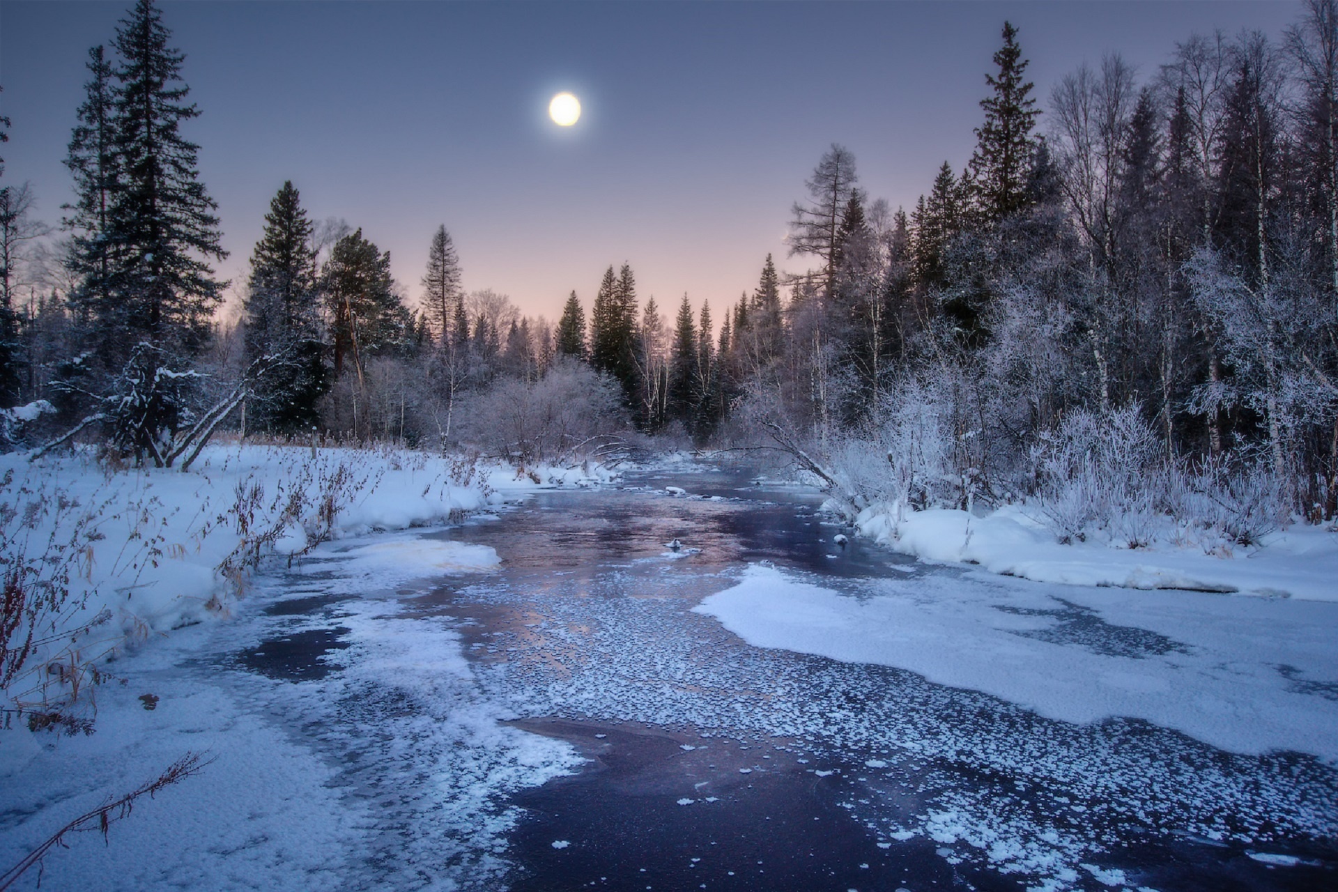 Moonlight Snowshoe Stroll