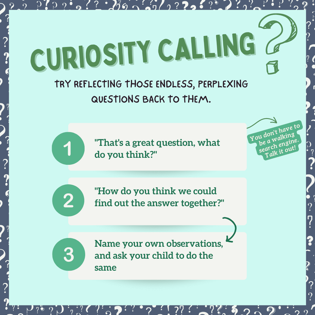 Curiosity Calling?