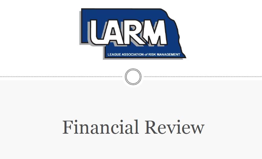 LARM Financial Review 2019