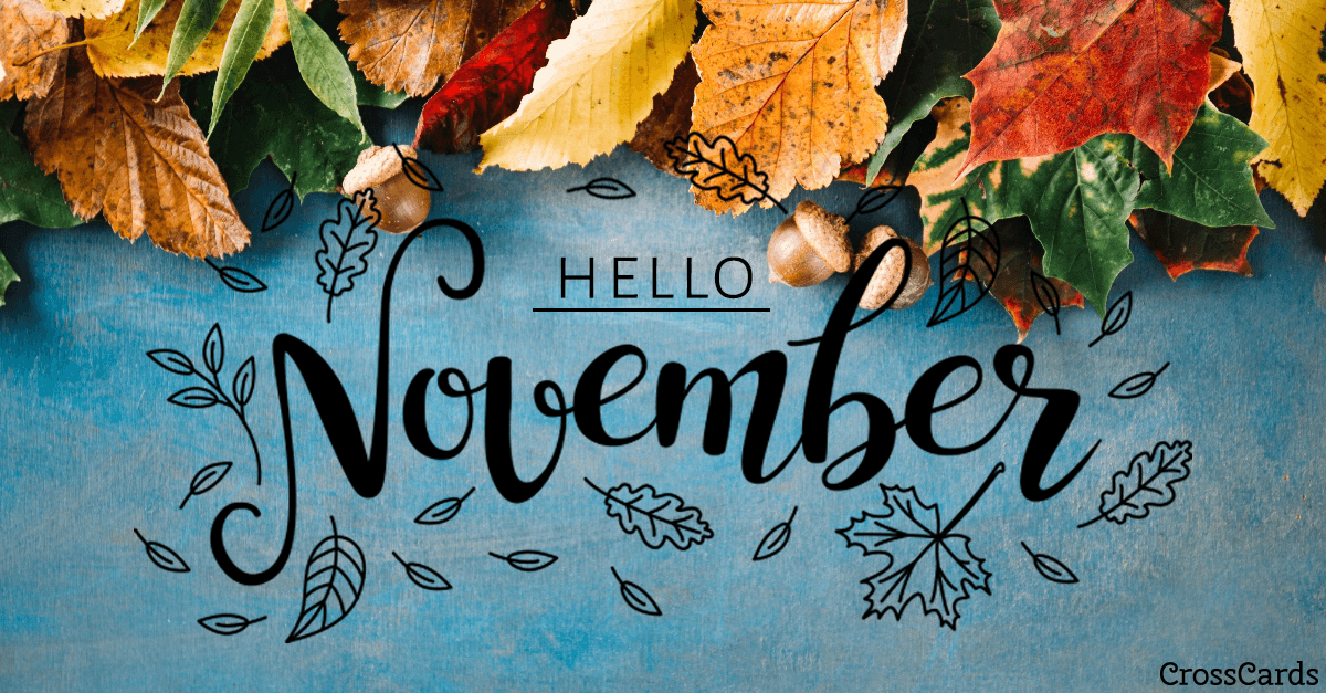 The More You Sow November Newsletter