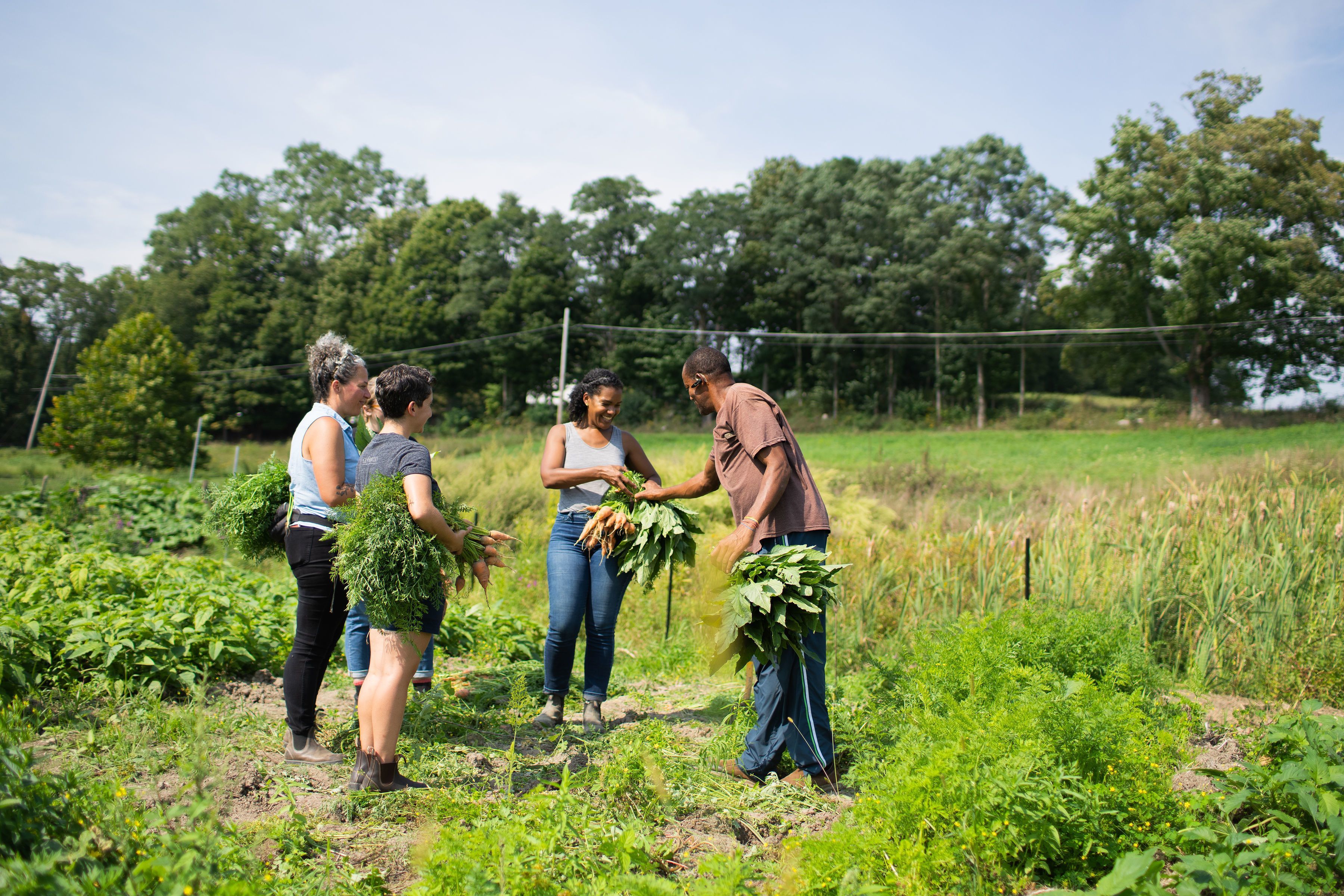 The Food Sovereignty Fund: Investing in Community