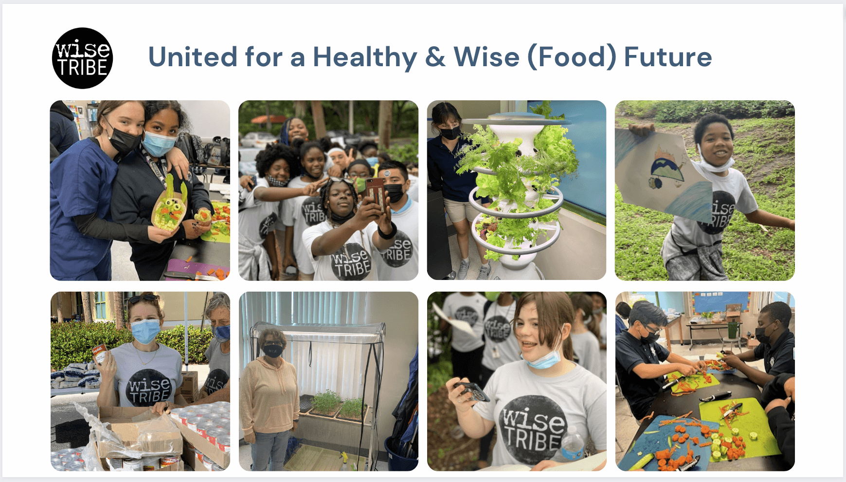 WiseTribe, united for a healthy and wise food future